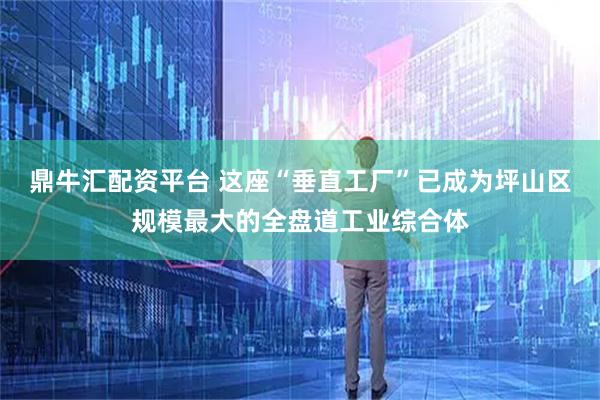 鼎牛汇配资平台 这座“垂直工厂”已成为坪山区规模最大的全盘道工业综合体