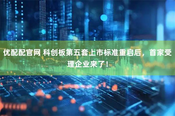 优配配官网 科创板第五套上市标准重启后，首家受理企业来了！