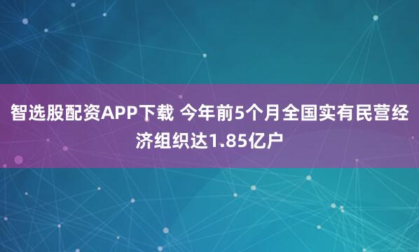 智选股配资APP下载 今年前5个月全国实有民营经济组织达1.85亿户