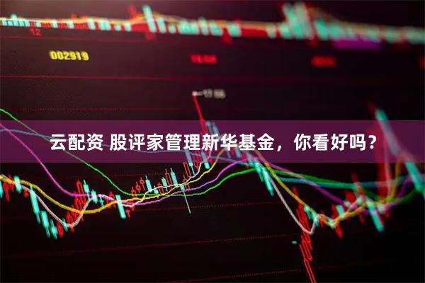 云配资 股评家管理新华基金，你看好吗？