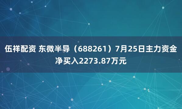 伍祥配资 东微半导（688261）7月25日主力资金净买入2273.87万元