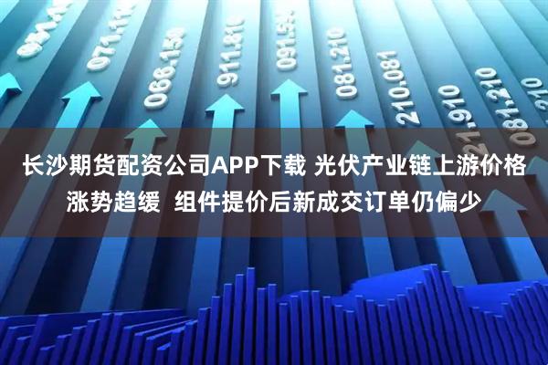 长沙期货配资公司APP下载 光伏产业链上游价格涨势趋缓  组件提价后新成交订单仍偏少