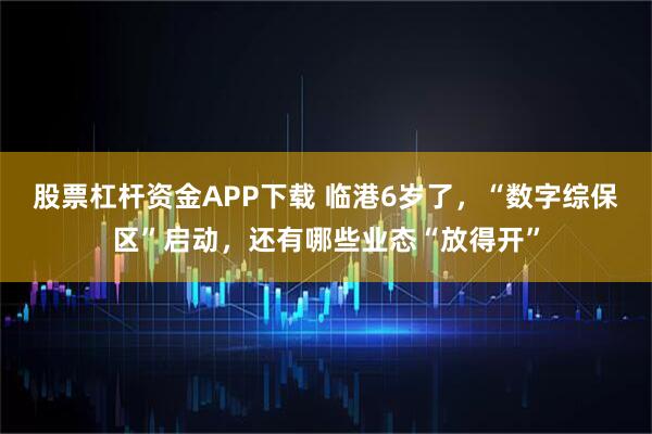 股票杠杆资金APP下载 临港6岁了，“数字综保区”启动，还有哪些业态“放得开”